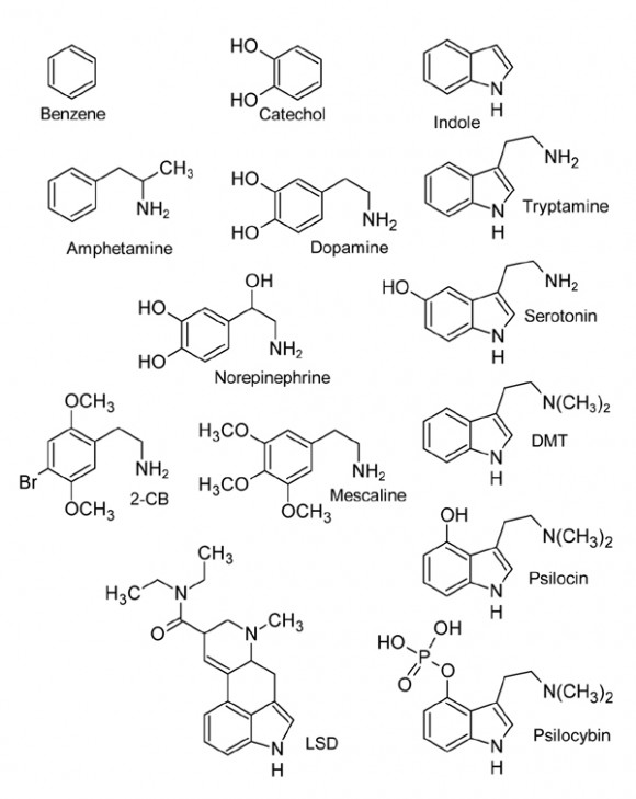 monoamine-structure.jpg